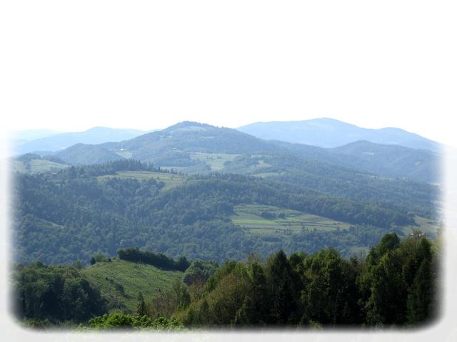sawina_przyroda_01.jpg