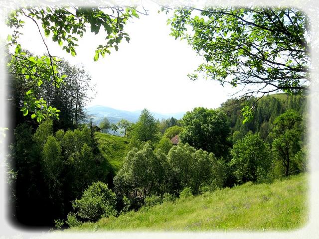 sawina_przyroda_04.jpg